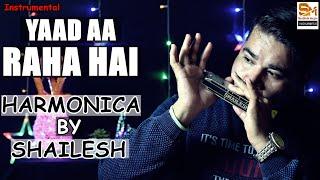 Yaad Aa Raha Hai Tera Pyar | Mouth Organ | Harmonica | Instrumental | Shailesh Mogre