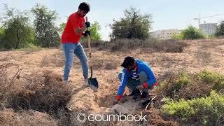 Goumbook x Talabat | Tree Planting | Dubai, UAE | 2022 10 18