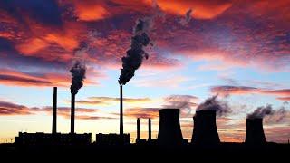 The governance of the carbon market needs to be ‘really robust’ and ‘transparent’