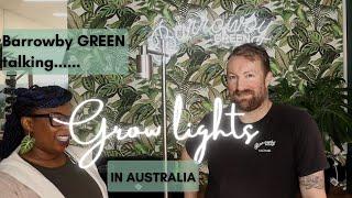 Perfect House Plant Grow Lights | Barrowby Green | The Leca Queen