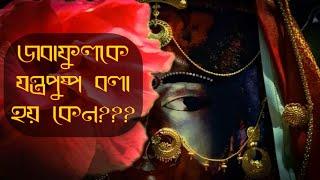 জবাফুলকে যন্ত্রপুষ্প কেন বলে???