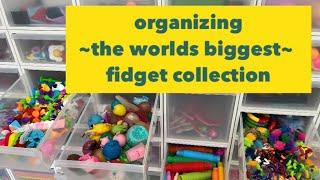 Organizing the WORLD’S LARGEST FIDGET COLLECTION!!!  @MrsBench