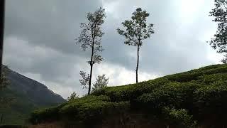 Munnar ecopoint || #Munnar #southindian #ecopoint