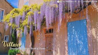 花の美しい南フランスの田舎町・ヴィラール | 南仏の村 | 可愛い猫 | Villars, South of France | French countryside