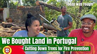 We Bought Rural Land in Portugal & Today Was the Hardest Day: Cutting Down Trees for Fire Prevention
