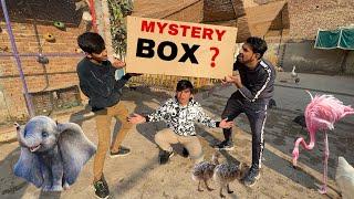 Itna Bara Mystery Box Agea  is Me Kia Ho Ga ?