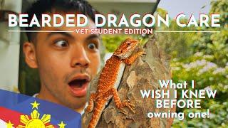 Vet Student’s 9 ESSENTIAL Tips for Bearded Dragon Care in the Philippines  (With Subtitles!)