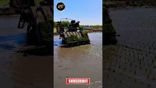 Paddy cultivation machine #shorts #viral #kubota #agriculture #khetibadi