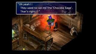 FF7 - Chocobo sage glitch