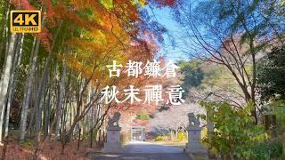 【Kamakura VLOG】Serene Autumn Away from the Crowds! Classic Zen Autumn Foliage Route in Kamakura