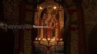 #murugan #muruganthunai #muruganarul #murugandevotes #arumugam #devotees #positivevibes #vadapalani