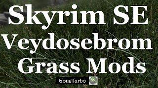 Skyrim SE- Veydosebrom- Xbox One