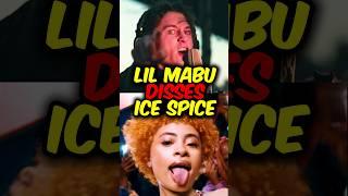 LIL MABU ROASTS ICE SPICE**VIOLATED**