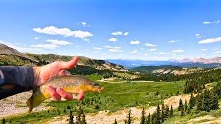 Fly Fishing One Of The Best Spring Creeks in Colorado