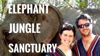 Elephant Jungle Sanctuary - Chiang Ma, Thailand