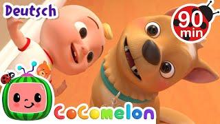 Das kleine Huendchen Bingo | CoComelon - JJ's Animal Time Deutsch | Cartoons und Kinderlieder