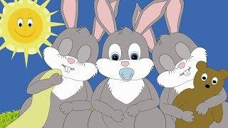 Sleeping Bunnies (Hop Little Bunnies) Nursery rhyme for babies and toddlers