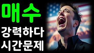 테슬라 매수 찬스가 온다! 강력하다! 시간문제!