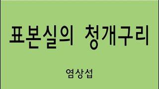 표본실의 청개구리 1 염상섭 글