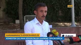 Kahramanmaraş'ta güvercin hırsızlığı