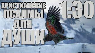 Христианские Песни | Сборник Псалмов