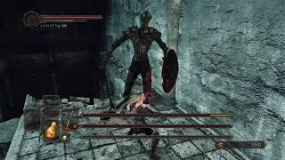 DS2: Royal Sentinel