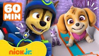 Psi Patrol | Psi Patrol na ratunek przyjaciołom! | 60 minut scen | Nick Jr. Polska