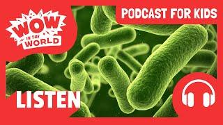 Can Bacteria Eat Plastic?  | PODCAST FOR KIDS  | Wow in the World (Full Episode)