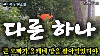 은미숙/시아버지가 살아계실 때 삼형제에게 땅을 나눠주었다/책읽어주는여자
