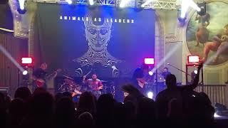 Woven Web - Animals As Leaders (Crystal Ballroom, Portland 11/2/2022)
