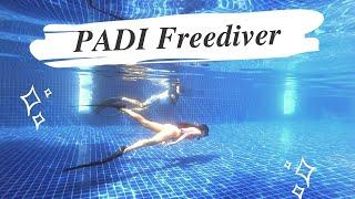 Discover The Depth: PADI Freediver Course For Beginners in Koh Tao Thailand