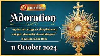  LIVE 11 October 2024 Adoration 11:00 AM | Madha TV