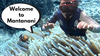 Visiting one of the most beautiful island in Sabah &  river cruising | Mantanani Islands |