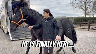 MY NEW HORSE ARRIVES HOME