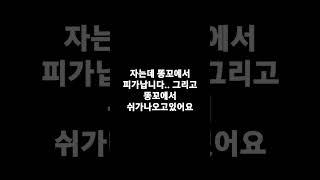 자는데 똥꼬에서 피랑 쉬가 나오니다 이커른 어텄게 해아되가오.?