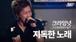 크라잉넛(Crying Nut) - 지독한 노래아는 만큼 보이는 노래 @부산국제록페스티벌 2007