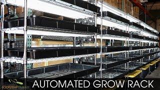 Bootstrap Farmer Automated Grow Rack