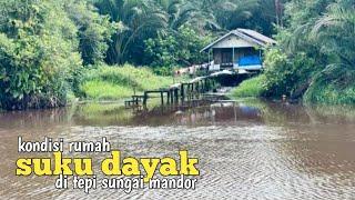 Kondisi perkampungan suku dayak ahe di sungai mandor