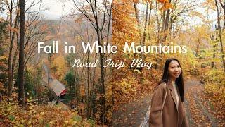 Fall in White Mountains Vlog 白山國家森林、美國最美賞楓公路Kancamagus Hwy 、Flume Gorge 新英格蘭的秋天旅行 我是蘇 ItsSueChen