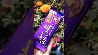 Dairy milk Roast Almond #shortsvideo #subscribe #dairymilk #shorts