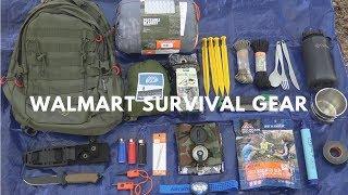 Overnight $250 Walmart Survival Challenge