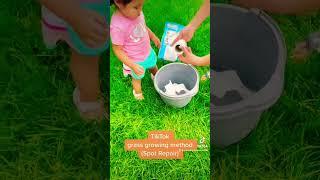 Poor Mans Hydroseed - Grass Spot Repair made simple. How to plant Scott's grass seed.