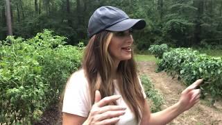 Stacy Lyn Harris Garden Tour—Ready for Summer Harvest!