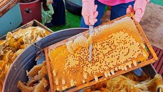 Liquid gold！Millionaire Harvesting Honey, Taiwan Bee Master/台灣蜂蜜採收, 養蜂大師, 蜂蜜檸檬愛玉製作