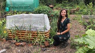 June Allotment Garden Tour 2019 / Homegrown garden