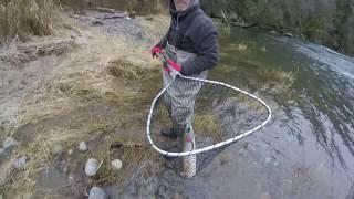 elusive green river steelhead 12-24-17