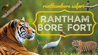 Ranthambore Fort