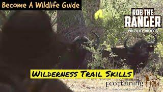 HOW TO: Become A Wildlife Guide |@EcoTraining| Wilderness Trails Skills