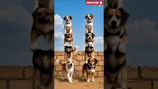 You Won’t Believe Both Babies Became Towers of Dogs Mid-Air! 