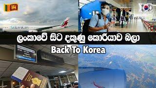 Back to South Korea|스리랑카 에서 한국으로|ශ්‍රී ලංකාවේ සිට දකුණු කොරියාව බලා |Srilankan Airlines   